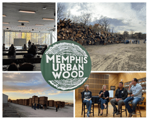 Participating in the Urban Wood Academy